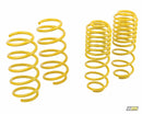 mountune Sport Spring Set 2014-2015 Fiesta ST-1