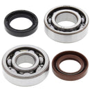 All Balls Racing Crankshaft Bearing Kit YZ100-1