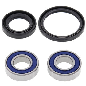 All Balls Racing Wheel Bearing Kit