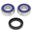 All Balls Racing Wheel Bearing Kit-1