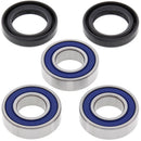 All Balls Racing Wheel Bearing Kit-1
