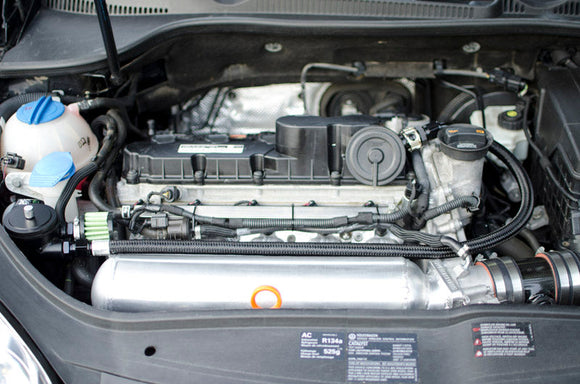 BFI "Clean Catch" - Crankcase Oil Separator - Vent To Atmosphere (2.5L 5-Cylinder)