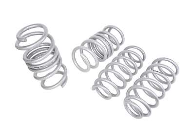 Whiteline Tesla Model 3 RWD 17-26; Lowered Front and Rear Lower Coil Spring Lowering Kit