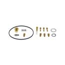 All Balls Racing Carburetor Rebuild Kit-1