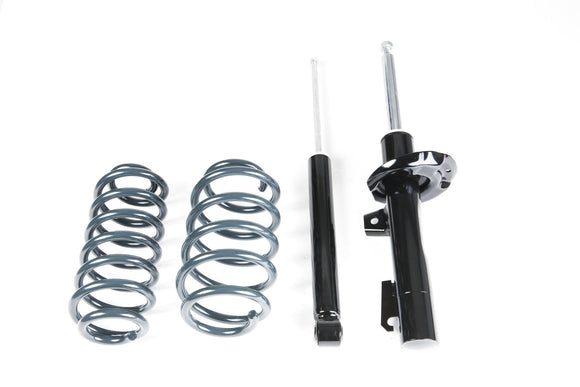 VWR Sport Spring & Damper Kit - A5-Platform FWD: Golf 5/6, A3 8P (55mm strut)