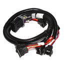 FAST XFI Fuel Injector Harness - Ford - 4.6 & 5.4 Modular (SOHC or DOHC) Engines - 5.0L H.O. & 351 Windsor-1