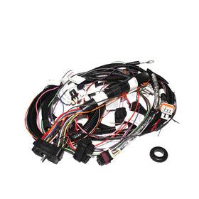 FAST XIM Standalone Wiring Harness For LS1