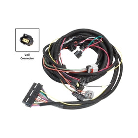 MSD 6-Hemi Harness 2006-2008