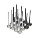 Valves - Alpha Series - Set of 16 - Honda K20C1 - 35mm INT - 29mm EXH - Std Compression-1