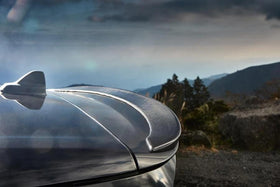 3D Design F54 Mini Cooper Clubman Carbon Roof Spoiler