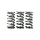 Ultra Valve Springs and Spring Base Kit - Honda L15B7-3