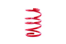 APR Roll-Control Lowering Springs - Audi RS3 8Y (2.5T)-3