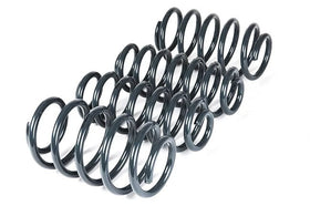 VWR Sport Springs For Jetta/GLI MK5/MK6, CC, Passat - 0
