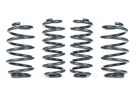 VWR Sport Springs For Jetta/GLI MK5/MK6, CC, Passat