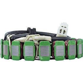 Arrowhead Triumph 12V Stator