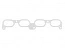 Skunk2 Mitsubishi Evo X Thermal Intake Manifold Gasket-1