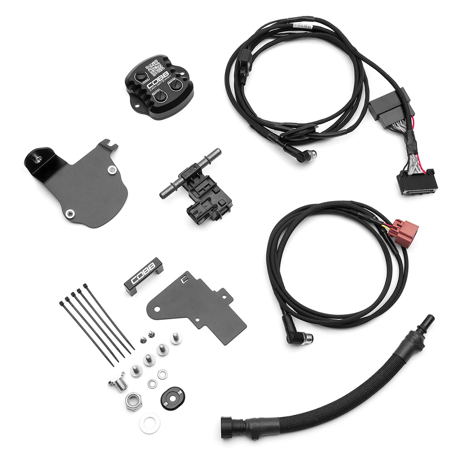 Ford CAN Flex Fuel Upgrade for F-150 EcoBoost Raptor