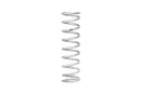 Eibach ERS 12.00 in. Length x 3.00 in. ID Off-Road Coilover Silver Spring-2