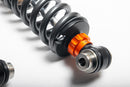 AST SUSPENSION 5100 SERIES COILOVER KIT: 2023+ HONDA CIVIC TYPE R (FL5)-10