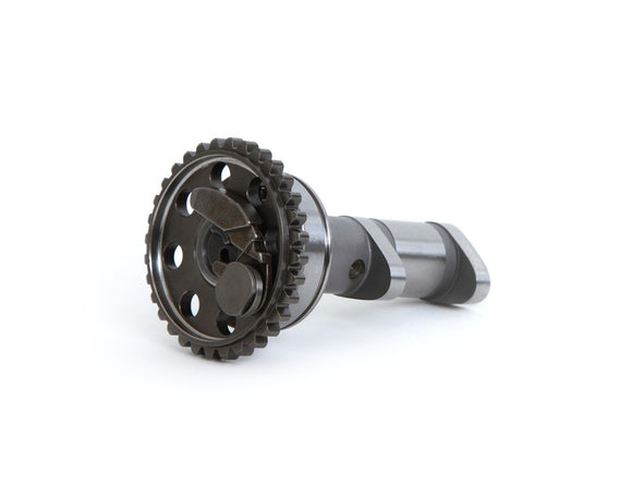 Hot Cams 09-21 YFZ 450 R/09-21 YFZ 450 R SE Exhaust Camshaft - Stage 2