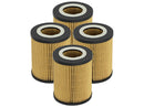 aFe Pro GUARD D2 Oil Filter 96-06 BMW Gas Cars L6 (4 Pack)-1