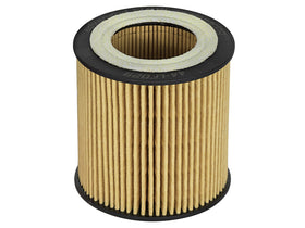 aFe Pro GUARD D2 Oil Filter 06-19 BMW Gas Cars L6-3.0T N54/55 - 0