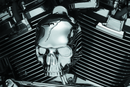 Kuryakyn Skull Horn Cover 17-Up With Waterfall Style Horn Chrome-1