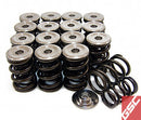 GSC P-D Honda B-Series Vtec Dual Spring Set and Titanium Retainer-1