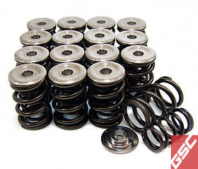 GSC P-D Honda B-Series Vtec Dual Spring Set and Titanium Retainer