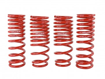Skunk2 88-91 Honda Civic/CRX Lowering Springs (2.50in - 2.25in.) (Set of 4) - 0