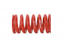 Skunk2 Universal Race Spring (Straight) - 7 in.L - 2.5 in.ID - 18kg/mm (0700.250.018S)-2
