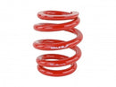 Skunk2 Universal Race Spring (Elliptical) - 6 in.L - 2.5 in.ID - 18kg/mm (0600.250.018E)-1