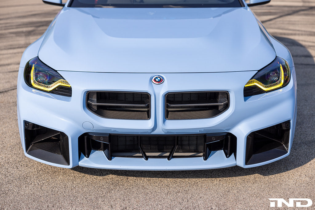 Alpha-N G87 M2 Carbon Front Grille