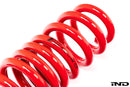 AST G90 M5 Lowering Spring Set-5