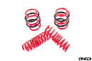 AST G90 M5 Lowering Spring Set-3