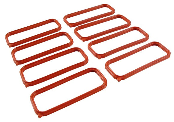 FAST LSX LS1 Replacement Intake Port Seals (8)
