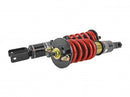 Skunk2 96-00 Honda Civic Pro-ST Coilovers (Front 10 kg/mm - Rear 10 kg/mm)-2
