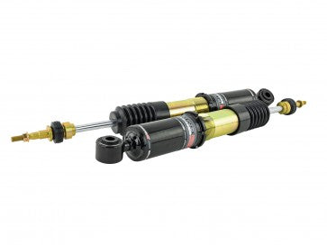 Skunk2 17-20 Honda Civic Sport Coupe/Sedan Pro-ST Coilovers
