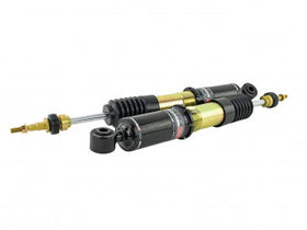 Skunk2 17-20 Honda Civic Sport Coupe/Sedan Pro-ST Coilovers - 0