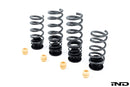 AST G90 / G99 M5 Adjustable Lowering Spring Kit-2
