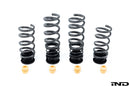 AST G90 / G99 M5 Adjustable Lowering Spring Kit-4