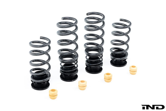 AST G90 / G99 M5 Adjustable Lowering Spring Kit