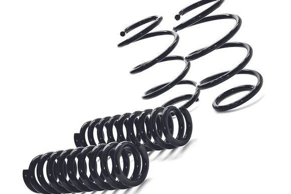 MMX Performance BMW F31 3-Series Touring Lowering Spring Set