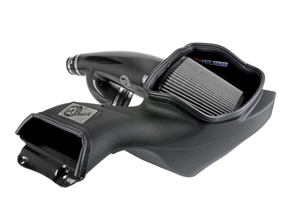 Track Series Carbon Fiber Cold Air Intake System w/Pro 5R Filter Ford F-150 Raptor 17-20 V6-3.5L (tt)