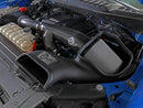 Track Series Carbon Fiber Cold Air Intake System w/Pro 5R Filter Ford F-150 Raptor 17-20 V6-3.5L (tt)-13