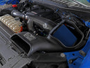 Track Series Carbon Fiber Cold Air Intake System w/Pro 5R Filter Ford F-150 Raptor 17-20 V6-3.5L (tt)-3