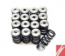GSC P-D Subaru EJ Turbo DOHC Valve Spring & Ti Retainer Kit-1