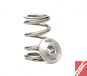 GSC P-D Toyota 2JZGTE/2JZGE/VVTI Variants Valve Spring Kit (set of 24) - 0