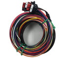 RACEPAK HARNESS SMARTWIRE DRAG-1
