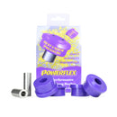 PowerFlex Fiat 500 Rear Beam Mount Bushings-1